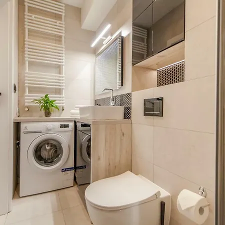 Pink Flamingo By Renters