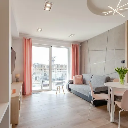Pink Flamingo By Renters